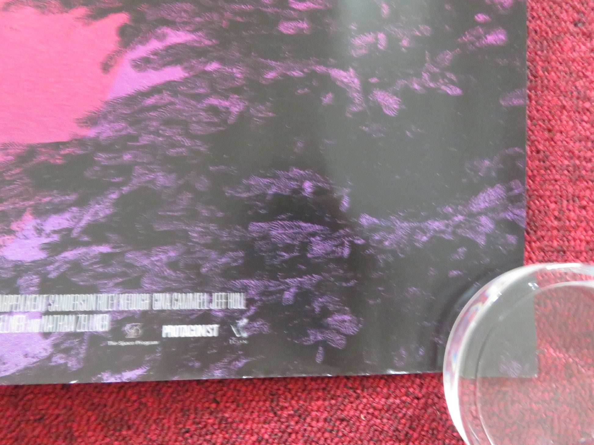 THE SASQUATCH SUNSET UK QUAD ROLLED POSTER JESSE EISENBERG RILEY KEOUGH 2024 Rendezvous Cinema Movie posters