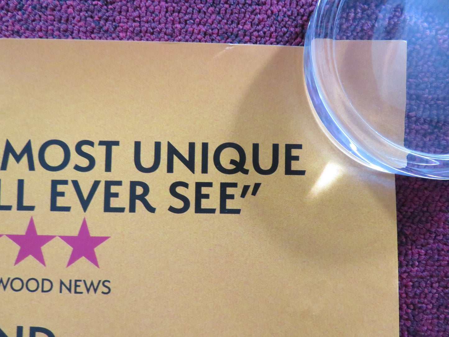 THE SASQUATCH SUNSET UK QUAD ROLLED POSTER JESSE EISENBERG RILEY KEOUGH 2024 Rendezvous Cinema Movie posters