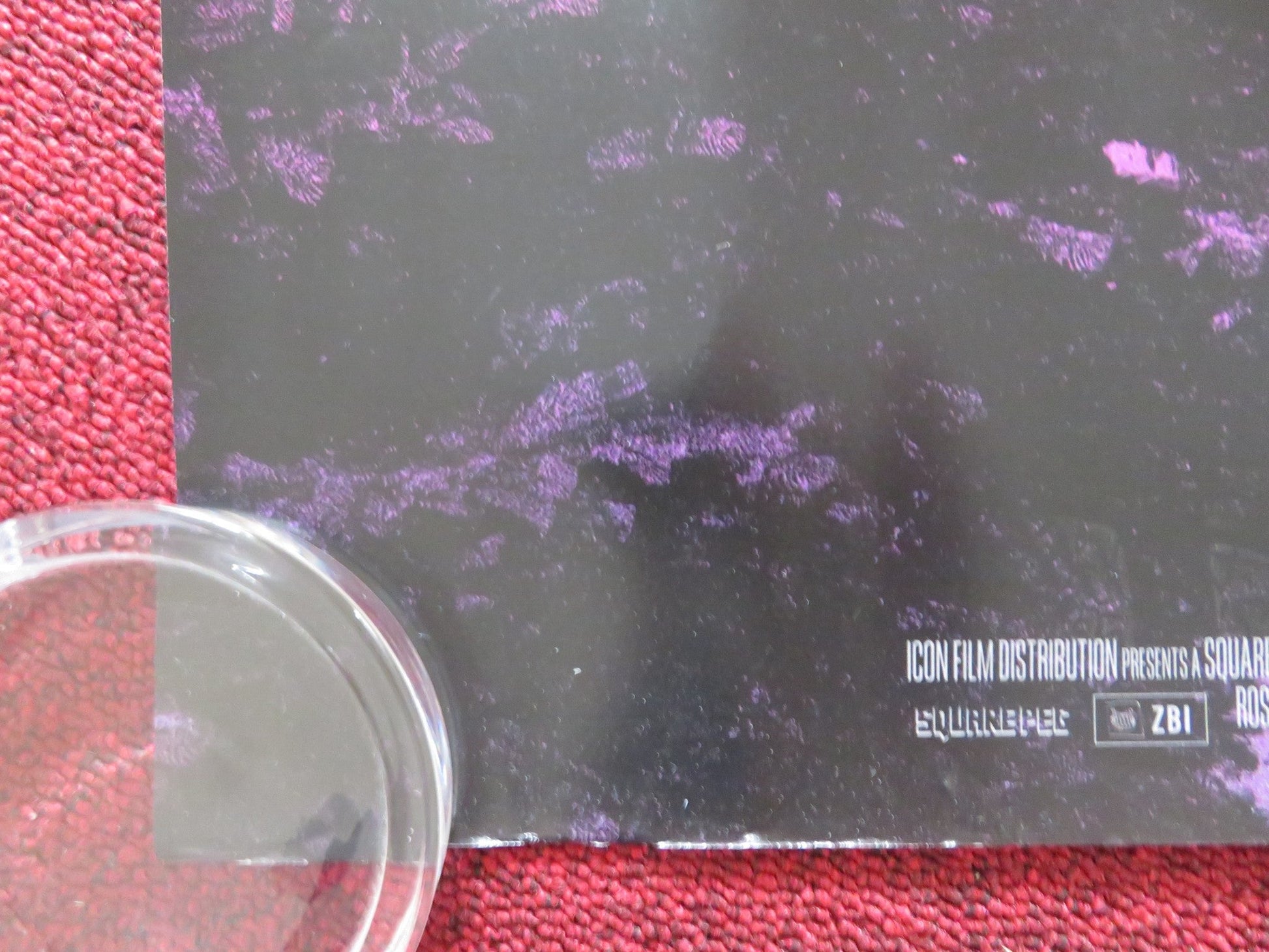 THE SASQUATCH SUNSET UK QUAD ROLLED POSTER JESSE EISENBERG RILEY KEOUGH 2024 Rendezvous Cinema Movie posters