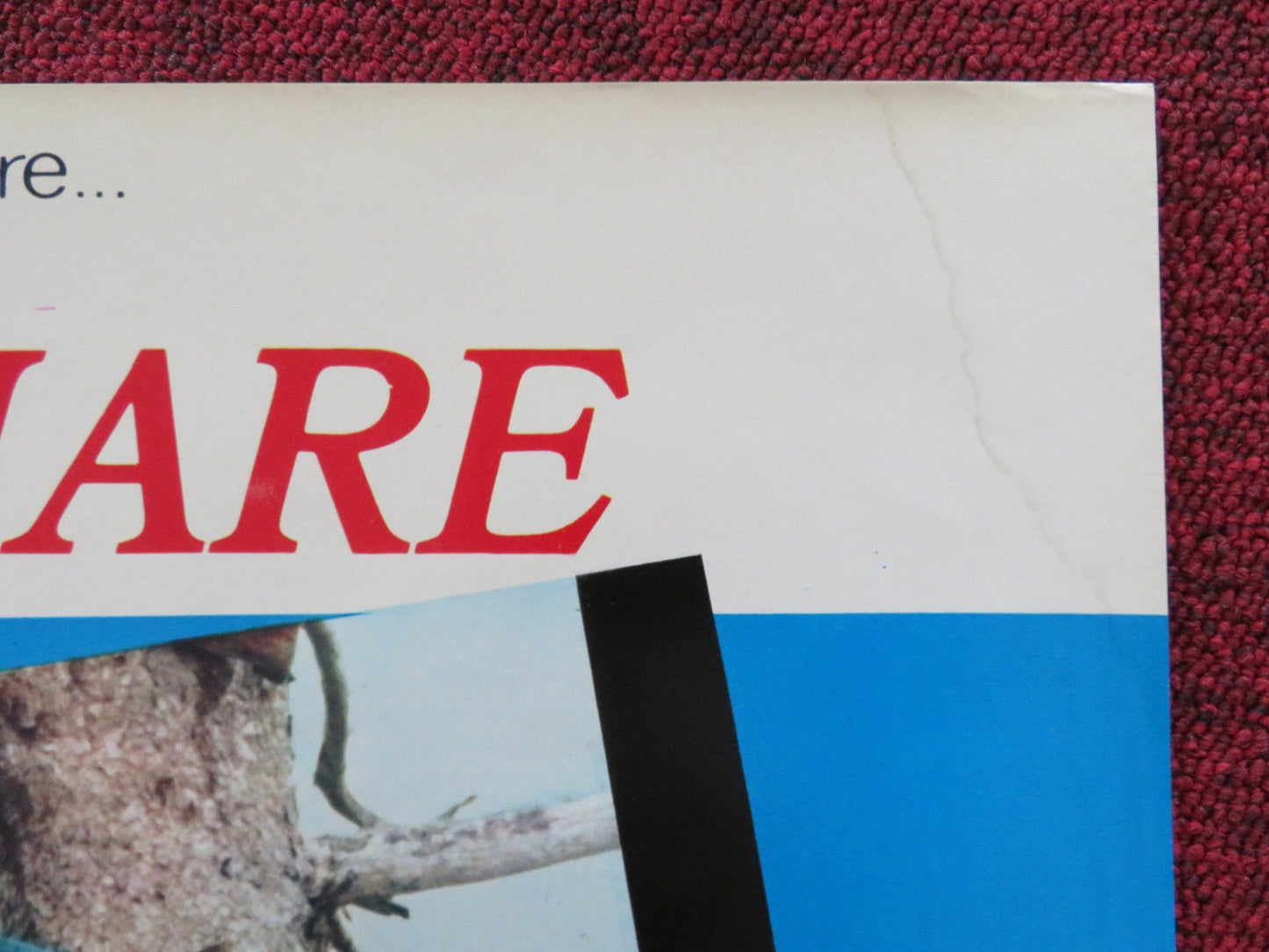 THE SEA GYPSIES - I ITALIAN FOTOBUSTA POSTER ROBERT LOGAN MIKKI JAMISON 1978 Rendezvous Cinema Movie posters