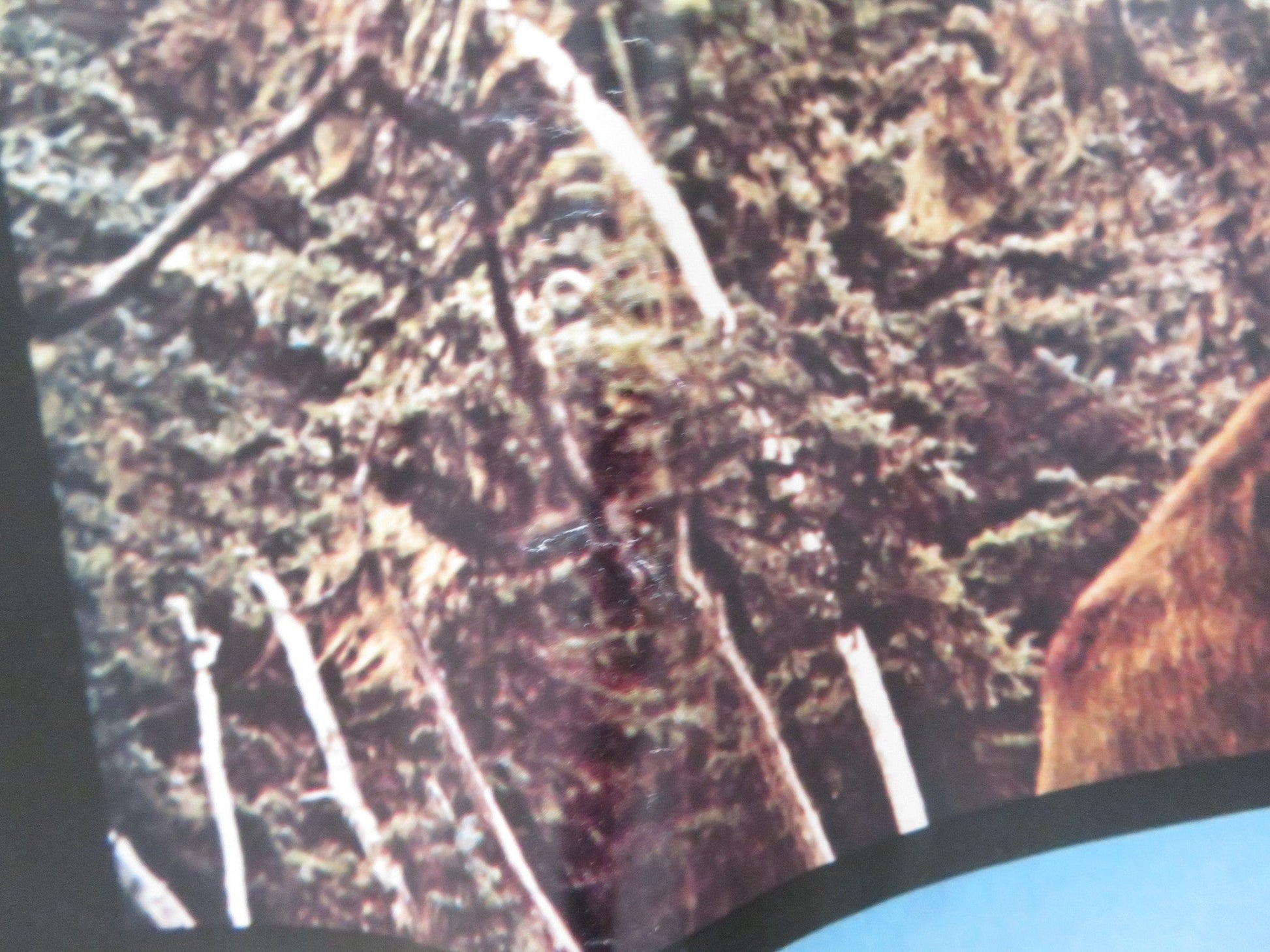 THE SEA GYPSIES - I ITALIAN FOTOBUSTA POSTER ROBERT LOGAN MIKKI JAMISON 1978 Rendezvous Cinema Movie posters