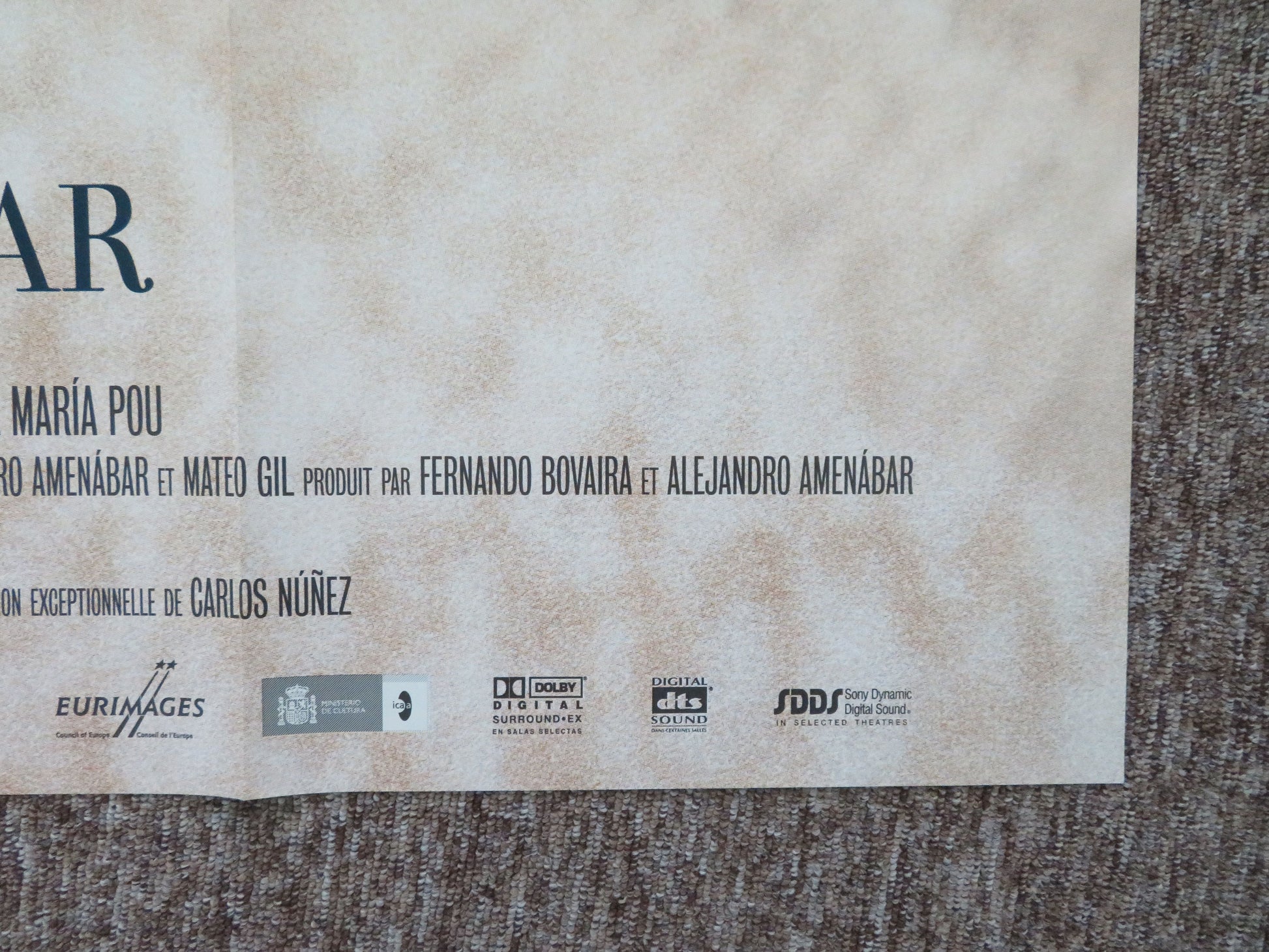 The Sea Inside French Grande Poster Javier Bardem Belen Rueda 2004 Movie posters