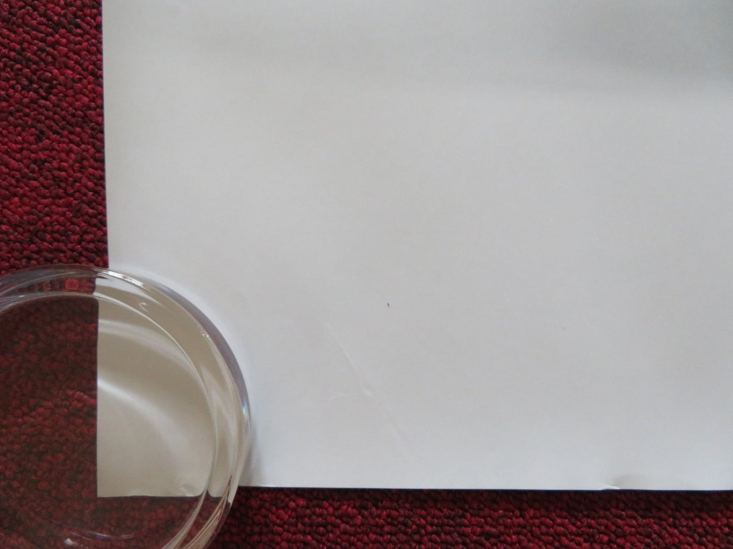 THE SECRET LIFE OF PETS 2 - A UK QUAD ROLLED POSTER KEVIN HART H. FORD 2019 Rendezvous Cinema Movie posters