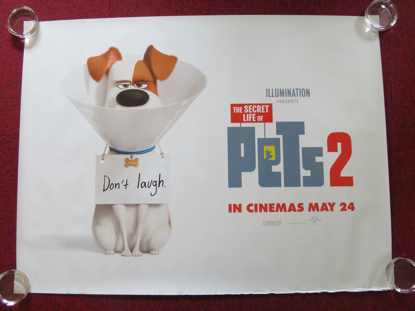 THE SECRET LIFE OF PETS 2 - A UK QUAD ROLLED POSTER KEVIN HART H. FORD 2019 Rendezvous Cinema Movie posters