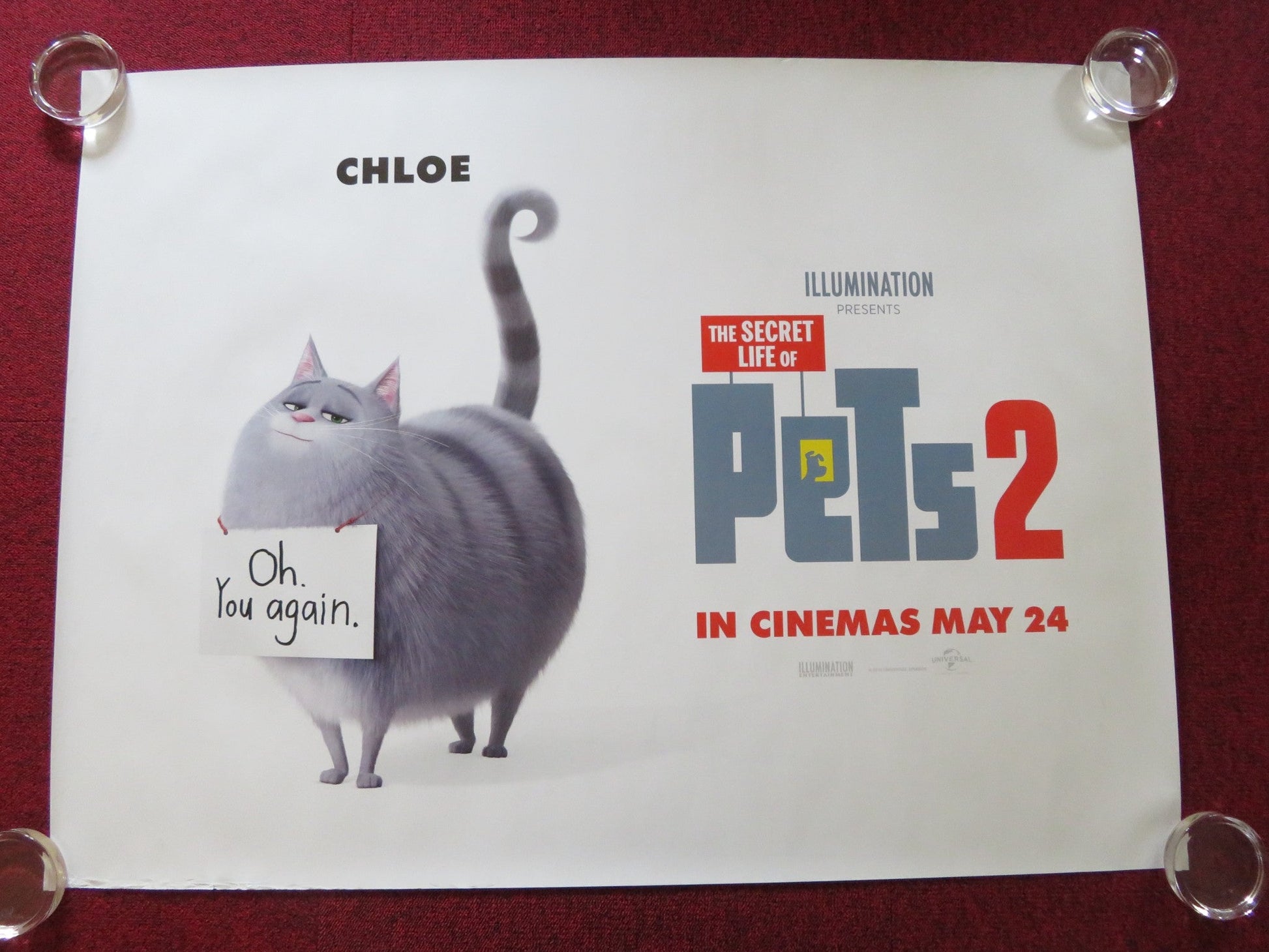 THE SECRET LIFE OF PETS 2 - B UK QUAD ROLLED POSTER KEVIN HART H. FORD 2019 Rendezvous Cinema Movie posters