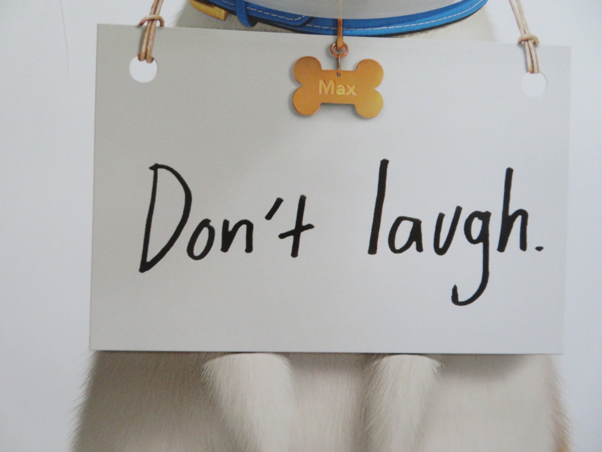 THE SECRET LIFE OF PETS 2 US ONE SHEET ROLLED POSTER OSWALT HARRISON FORD 2019 Rendezvous Cinema Movie posters