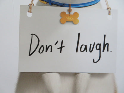 THE SECRET LIFE OF PETS 2 US ONE SHEET ROLLED POSTER OSWALT HARRISON FORD 2019 Rendezvous Cinema Movie posters