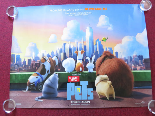 THE SECRET LIFE OF PETS UK QUAD ROLLED POSTER KEVIN HART DANA CARVEY 2016 Rendezvous Cinema Movie posters