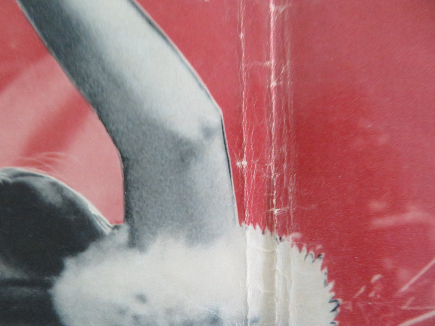 The Seed of Man Italian Fotobusta Poster Anne Wiazemsky Marzio Margine 1969 Movie posters