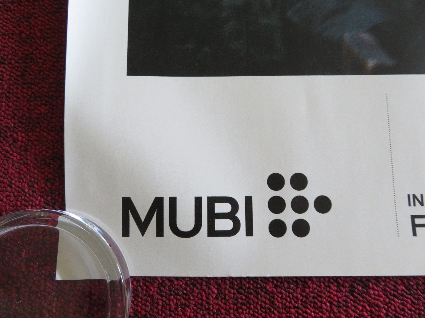 THE SETTLERS UK QUAD ROLLED POSTER MARK STANLEY CAMILO ARANCIBIA 2023 Rendezvous Cinema Movie posters