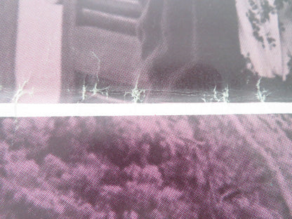 THE SHAMELESS - B ITALIAN FOGLIO POSTER PHILIPPE LEROY LEONORA FANI 1974 Movie posters