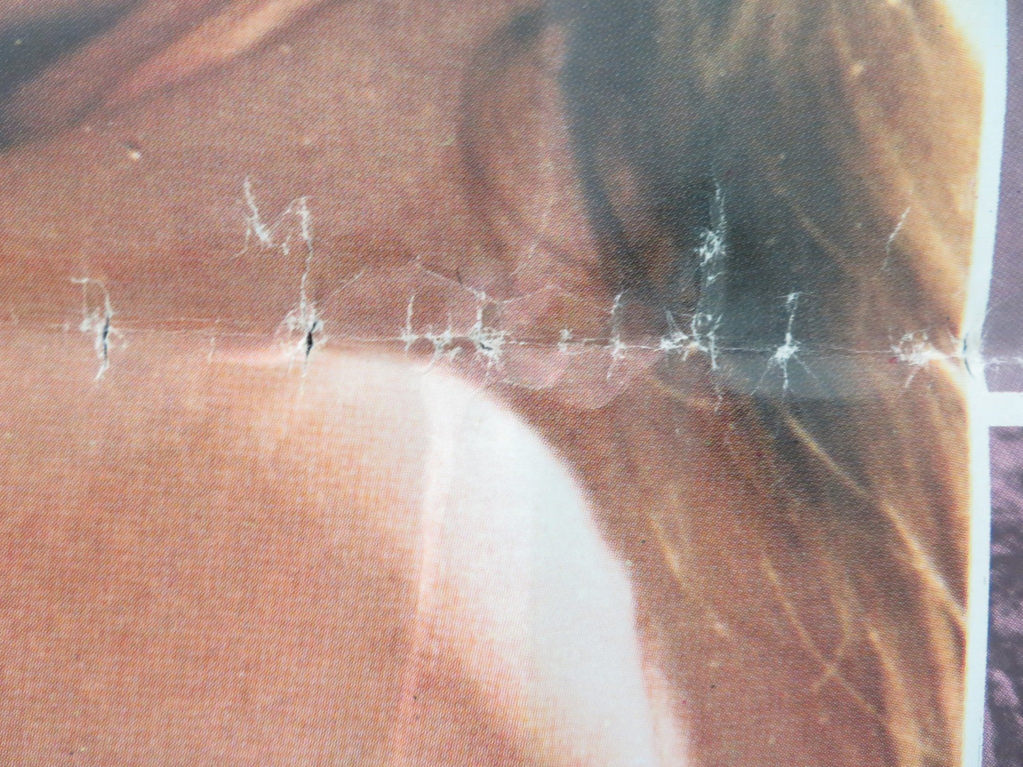 THE SHAMELESS - B ITALIAN FOGLIO POSTER PHILIPPE LEROY LEONORA FANI 1974 Movie posters