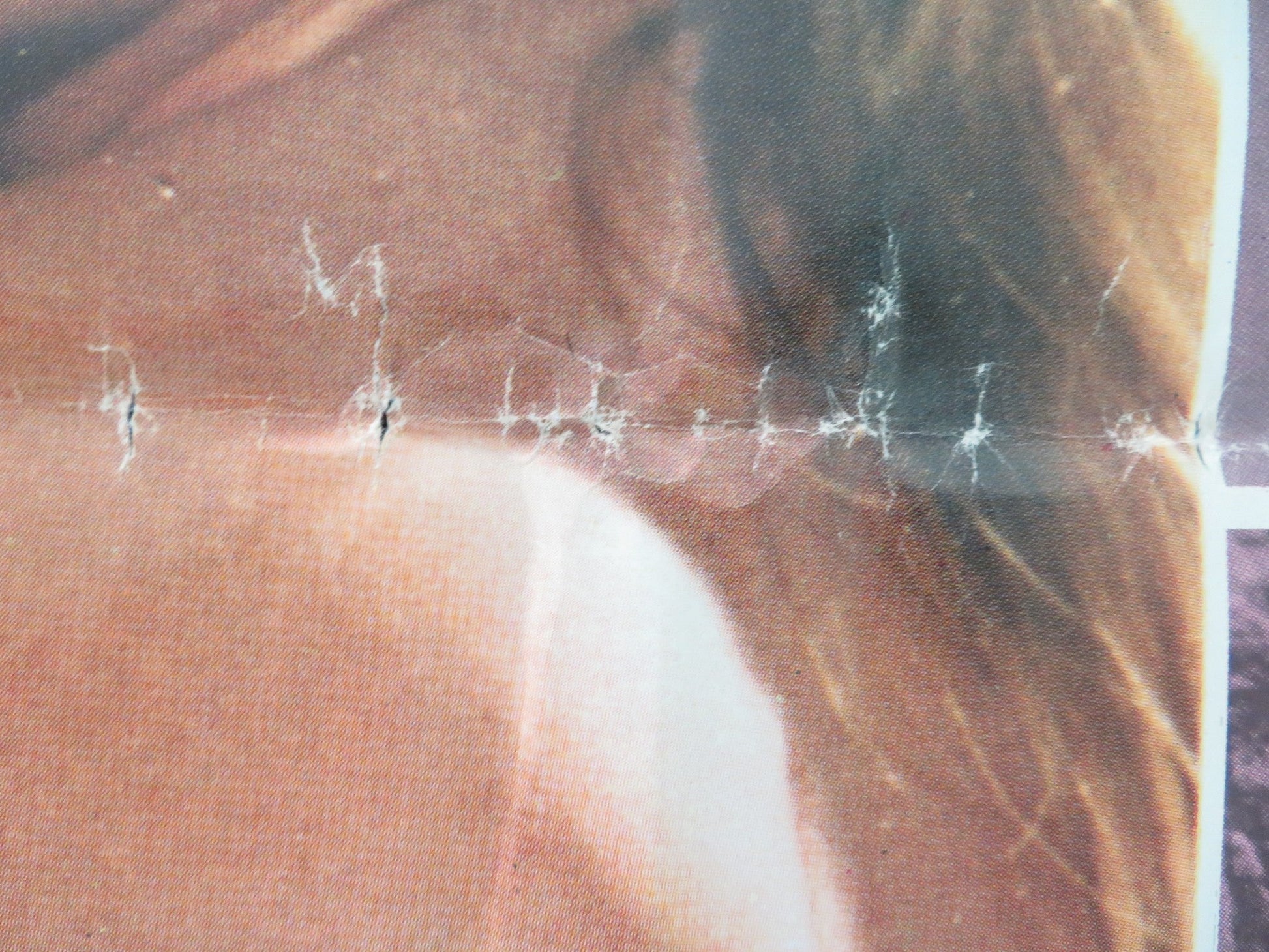 THE SHAMELESS - B ITALIAN FOGLIO POSTER PHILIPPE LEROY LEONORA FANI 1974 Movie posters