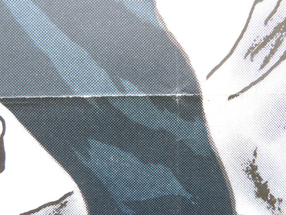 THE SHEEPMAN DANISH POSTER ROLLED GLENN FORD SHIRLEY MACLAINE 1960 Rendezvous Cinema Movie posters