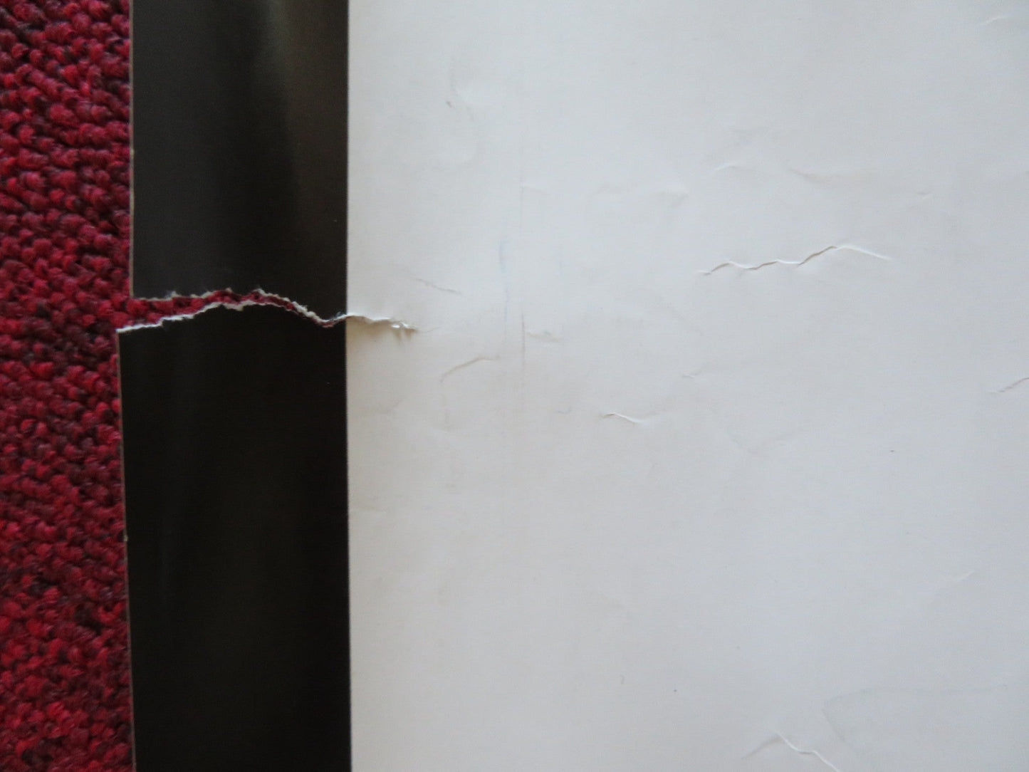 THE SIMPSONS MOVIE UK QUAD ROLLED POSTER DAN CASTELLANETA JULIE KAVNER 2007 Rendezvous Cinema Movie posters