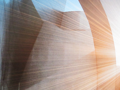 THE SOLOIST US ONE SHEET ROLLED POSTER JAMIE FOXX ROBERT DOWNEY JR. 2009 Rendezvous Cinema Movie posters