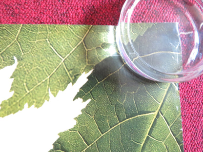 THE SPIDERWICK CHRONICLES - B US ONE SHEET ROLLED POSTER FREDDIE HIGHMORE 2008 Rendezvous Cinema Movie posters