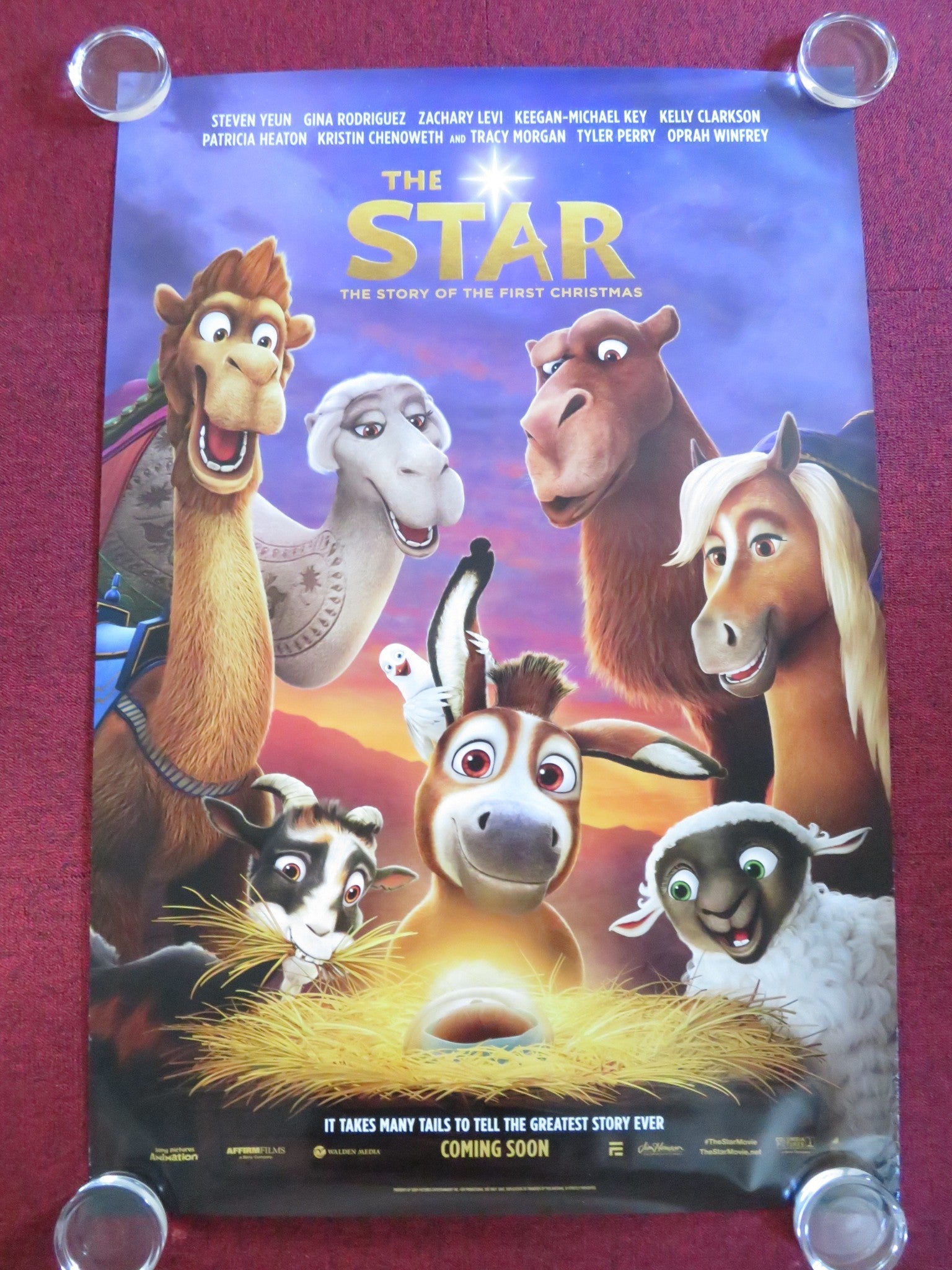 THE STAR US ONE SHEET ROLLED POSTER CHRISTOPHER PLUMMER STEVEN YEUN 2017 Rendezvous Cinema Movie posters