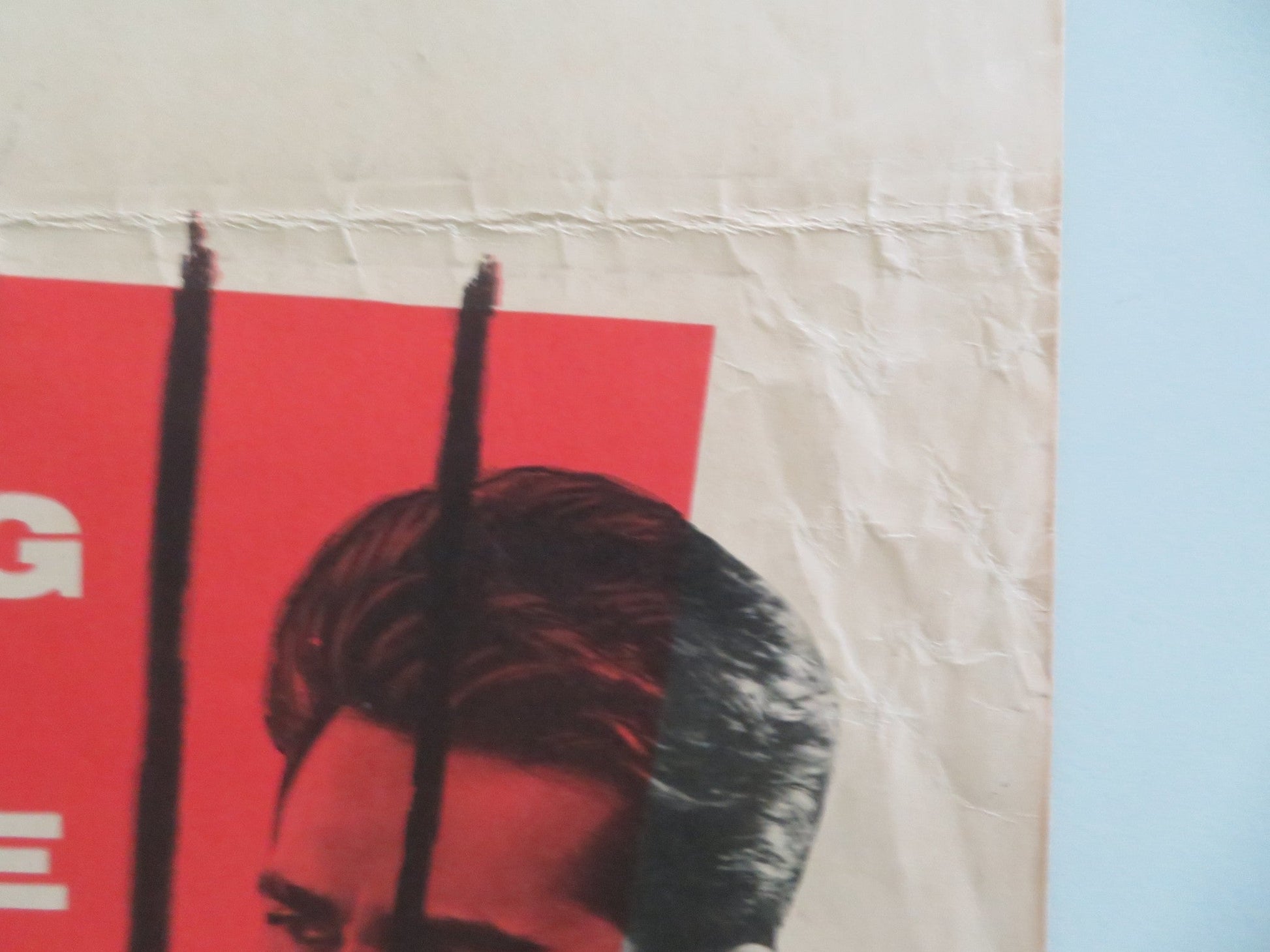 The Steel Jungle US Insert Poster Perry Lopez Beverly Garland 1956 Movie posters