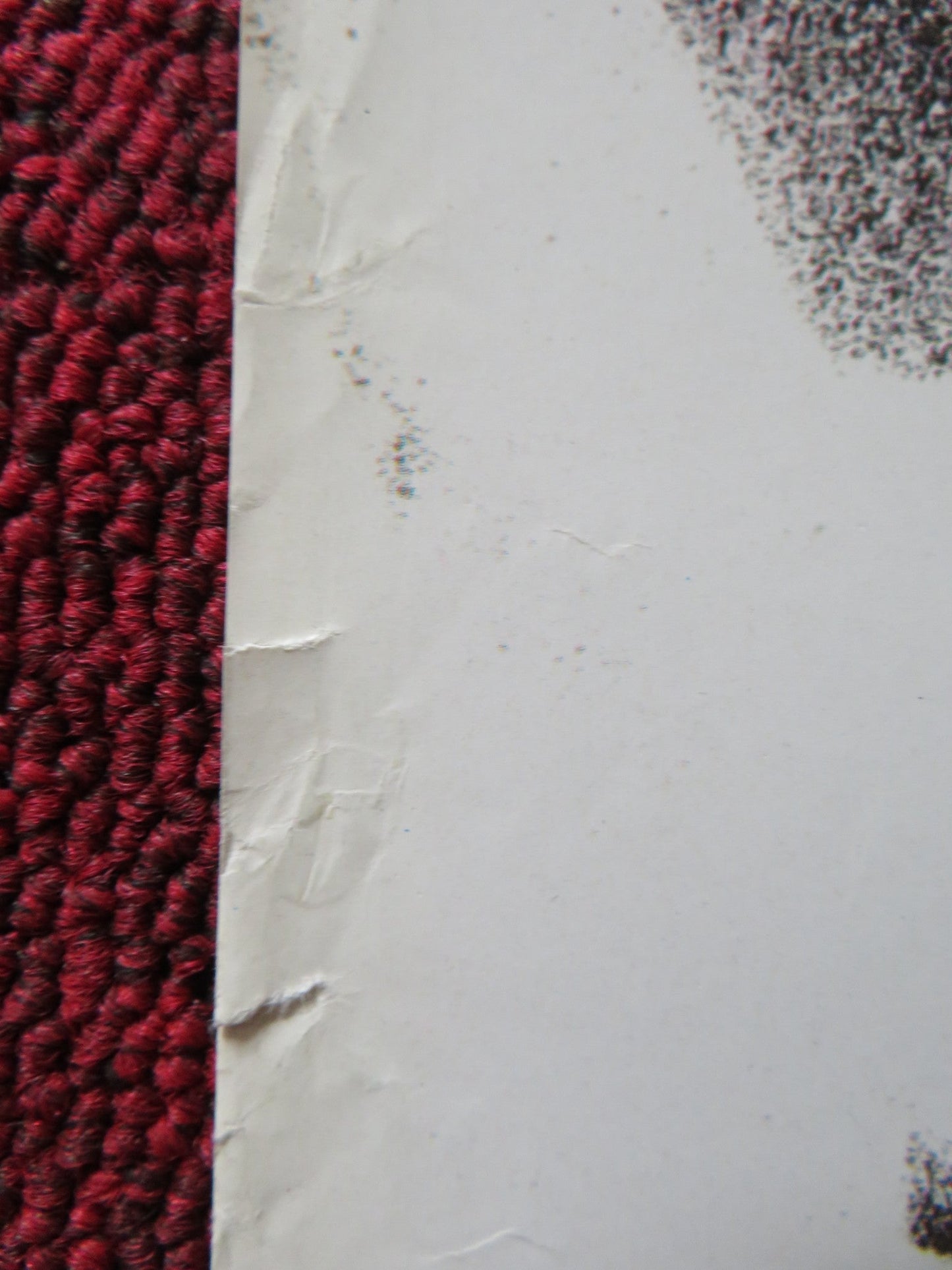 THE STEPMOTHER VHS VIDEO POSTER DIANE LADD WENDEL MELDRUM 1994 Rendezvous Cinema Movie posters