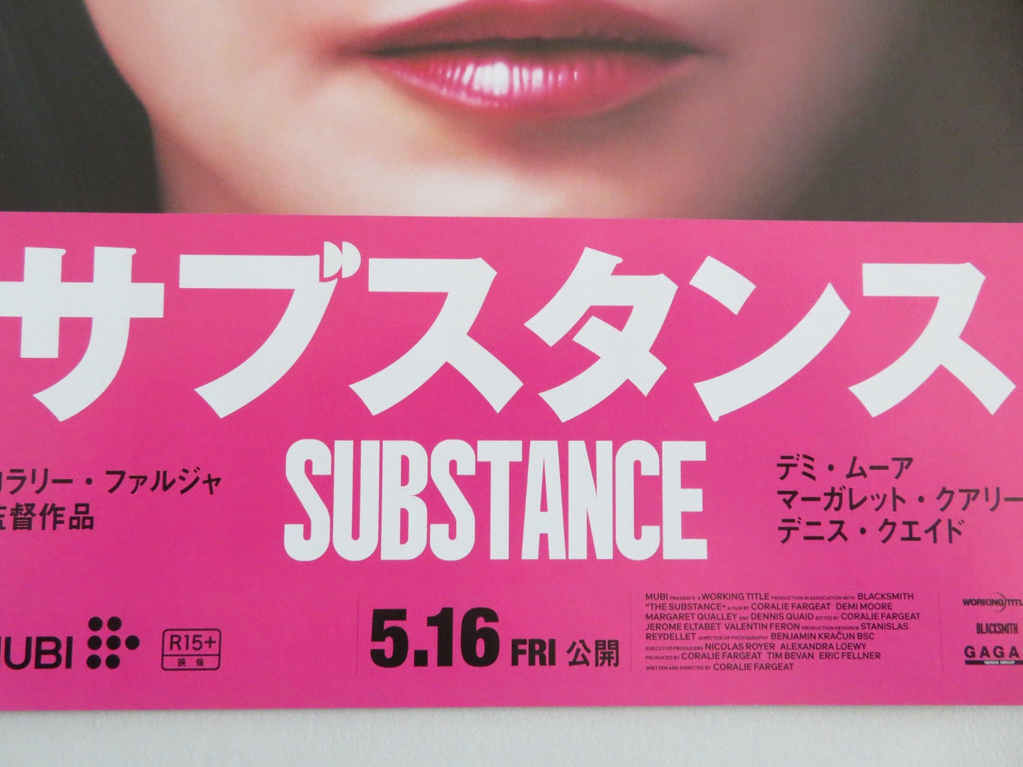 THE SUBSTANCE JAPANESE CHIRASHI (B5) POSTER DEMI MOORE MARGARET QUALLEY 2024 Movie posters
