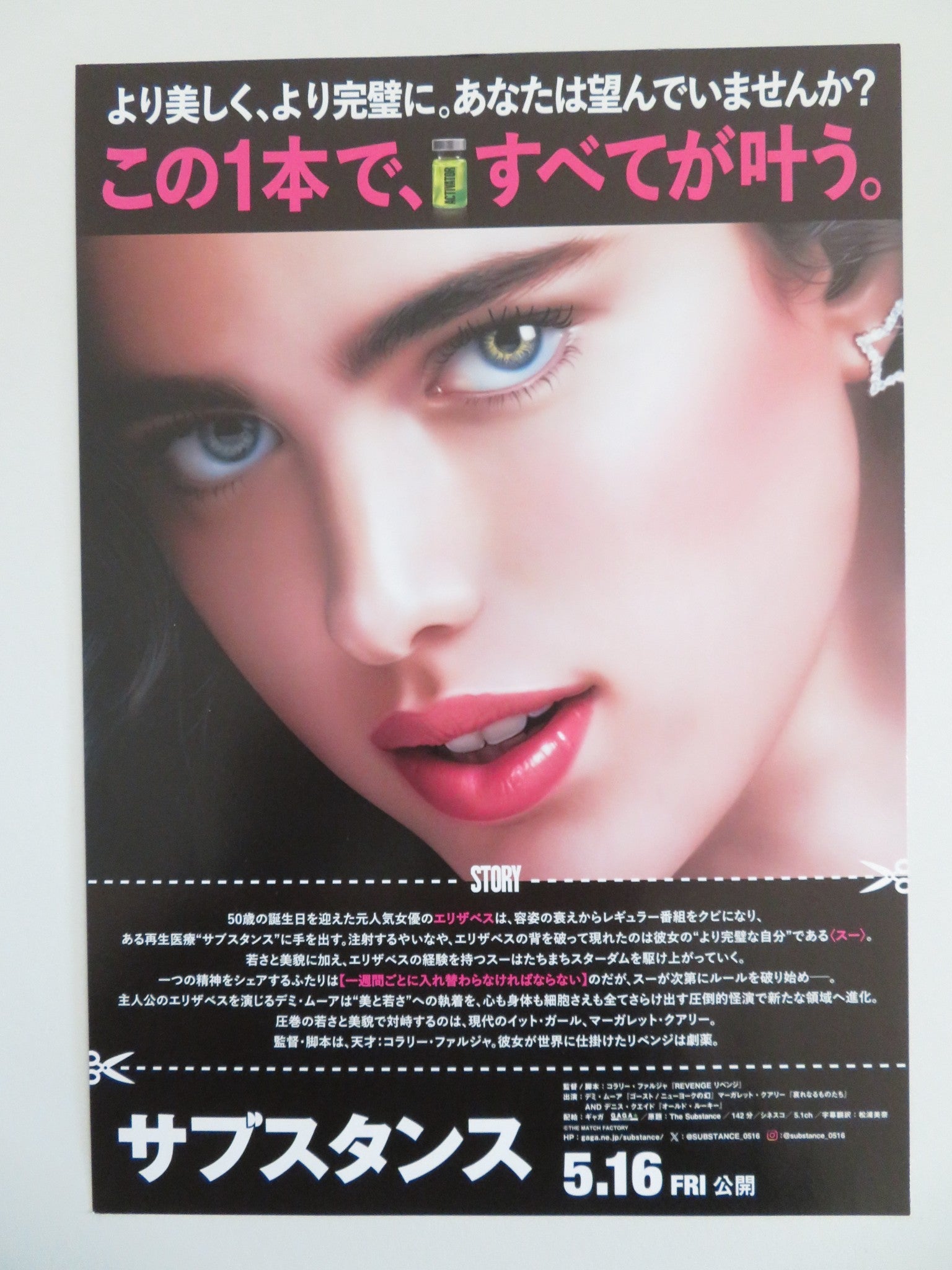 THE SUBSTANCE JAPANESE CHIRASHI (B5) POSTER DEMI MOORE MARGARET QUALLEY 2024 Movie posters