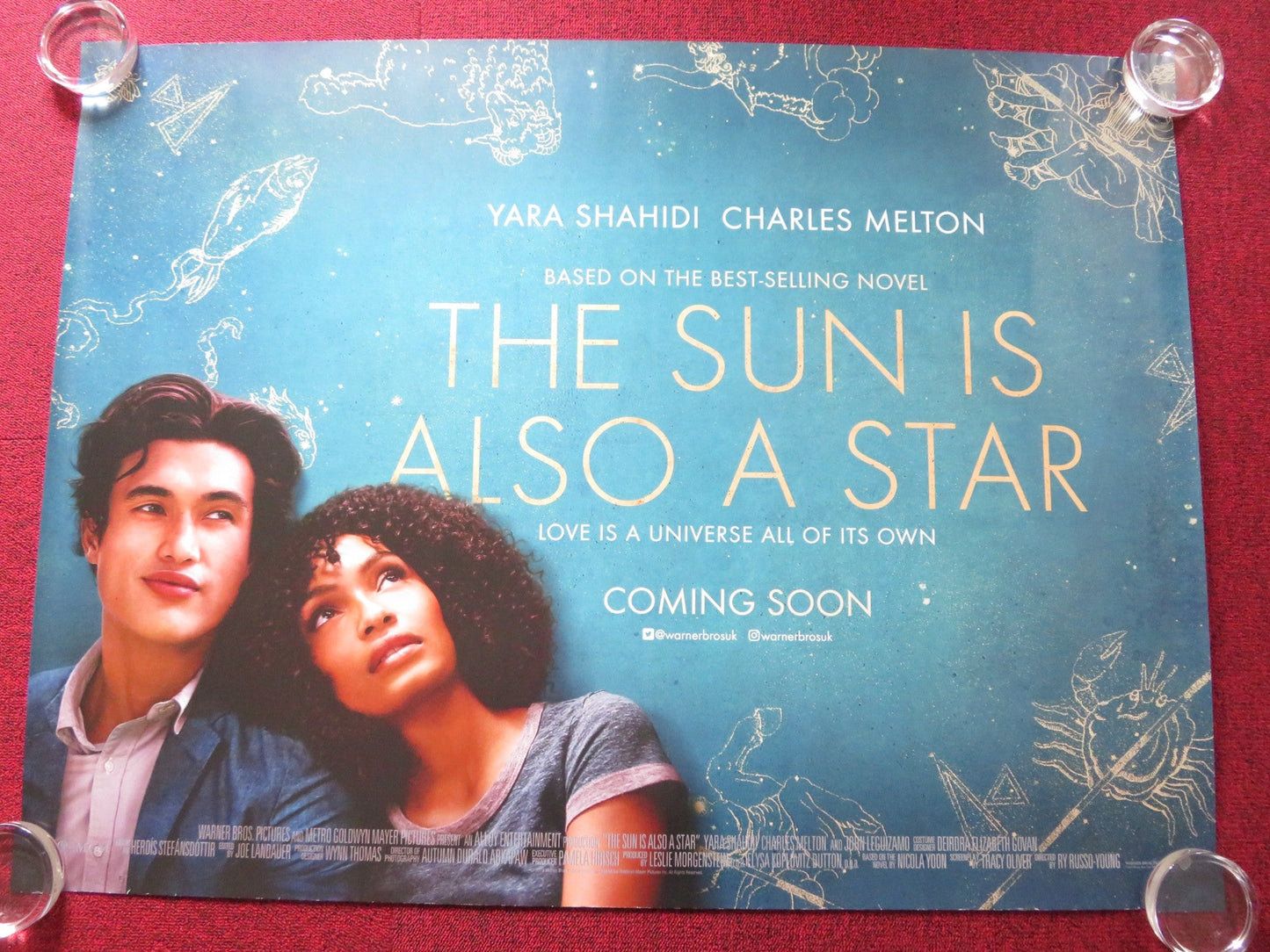 THE SUN IS ALSO A STAR UK QUAD ROLLED POSTER YARA SHAHIDI CHARLES MELTON 2019 Rendezvous Cinema Movie posters