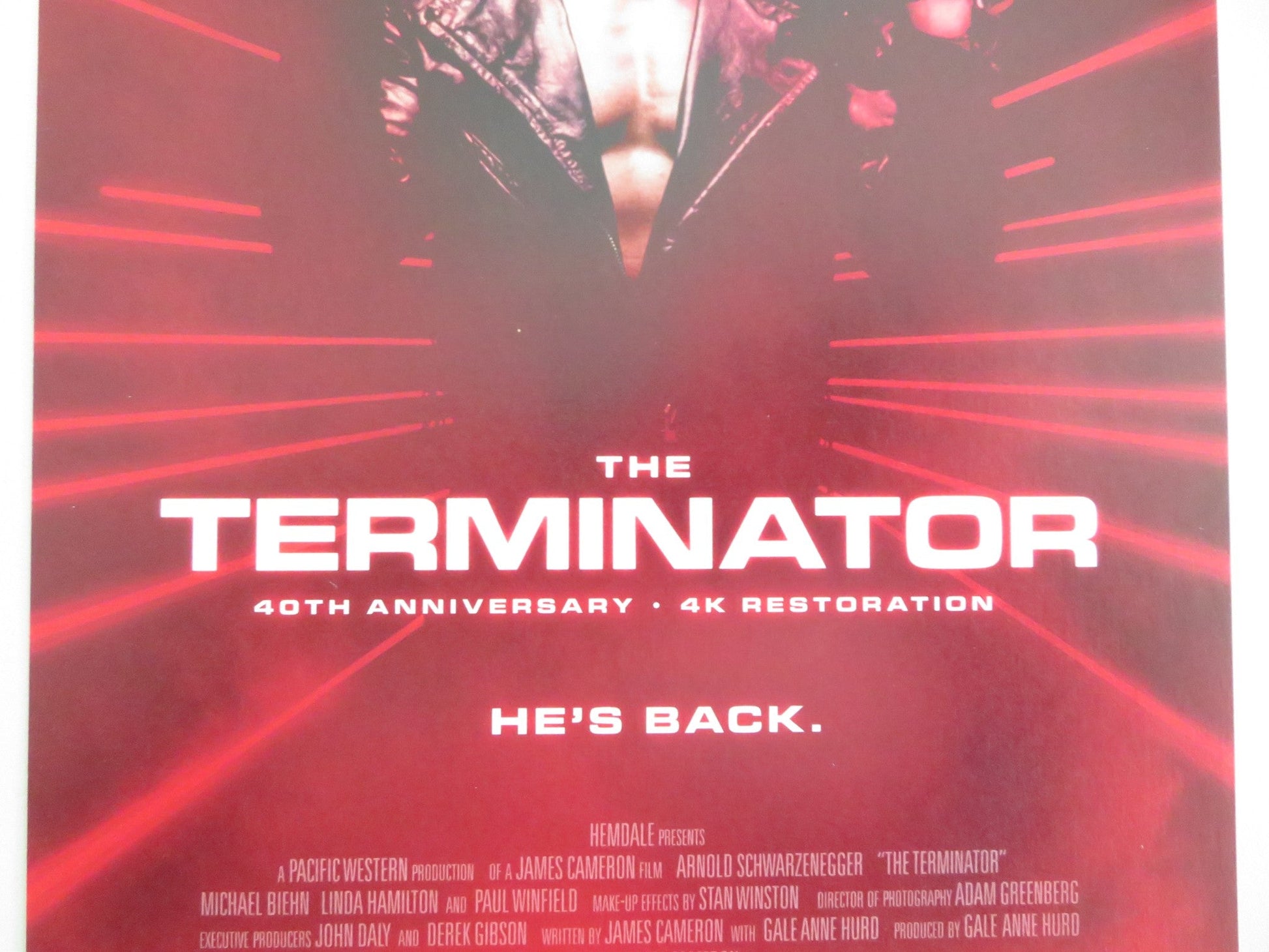 THE TERMINATOR 4K JAPANESE CHIRASHI (B5) POSTER ARNOLD SCHWARZENEGGER R2024 Movie posters