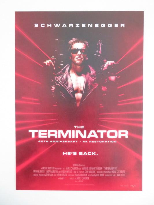 THE TERMINATOR 4K JAPANESE CHIRASHI (B5) POSTER ARNOLD SCHWARZENEGGER R2024 Movie posters