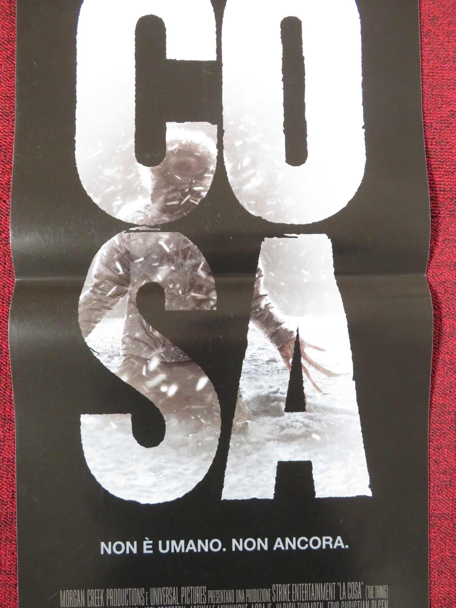 THE THING ITALIAN LOCANDINA POSTER MARY ELIZABETH WINSTEAD JOEL EDGERTON 2011 Rendezvous Cinema Movie posters