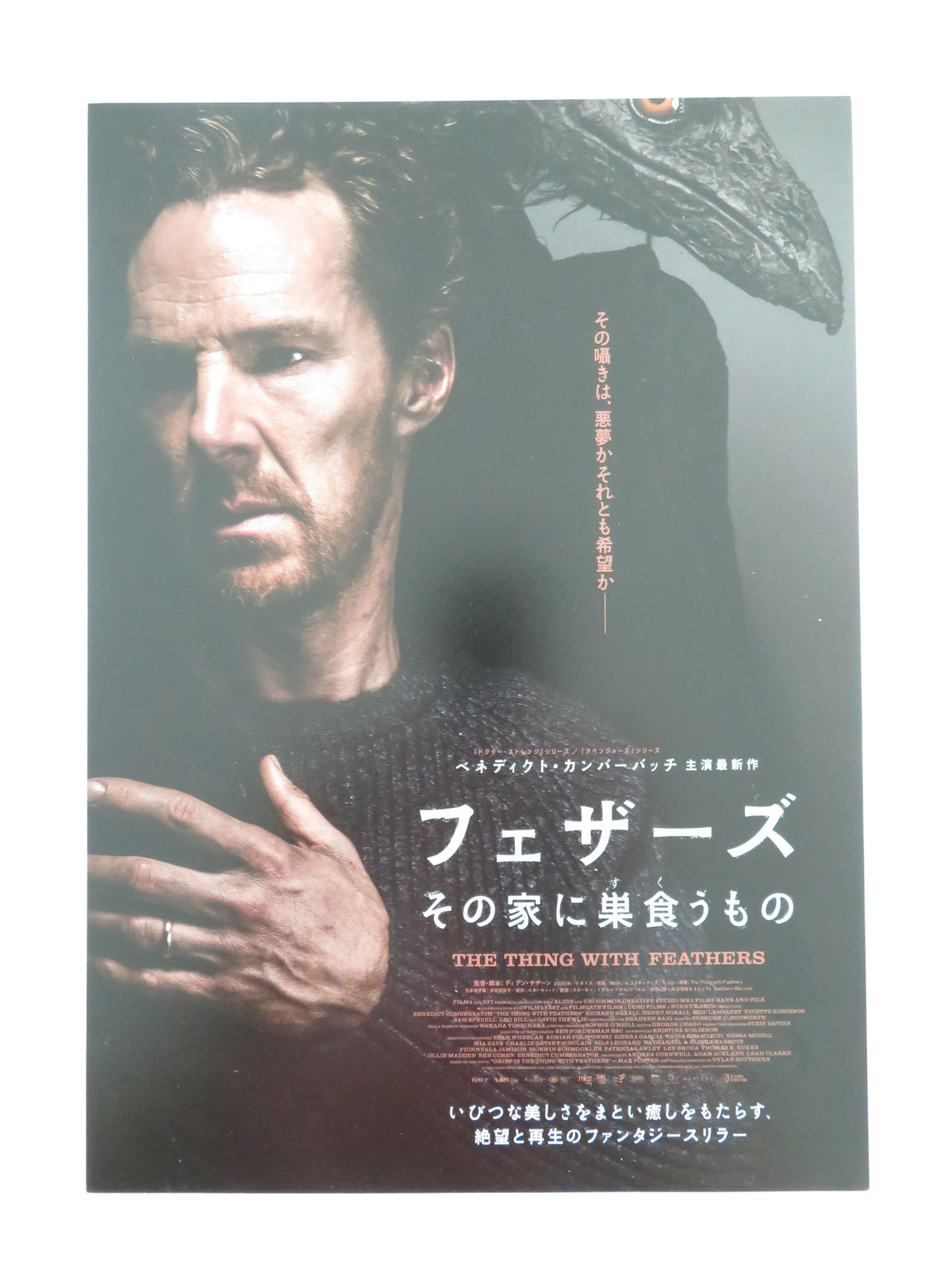 The Thing with Feathers Japanese Chirashi (B5) Poster Cumberbatch 2025 Movie posters