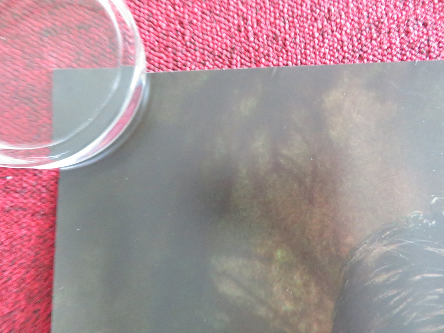 THE TWILIGHT SAGA: NEW MOON - C UK QUAD ROLLED POSTER ROBERT PATTINSON 2009 Rendezvous Cinema Movie posters