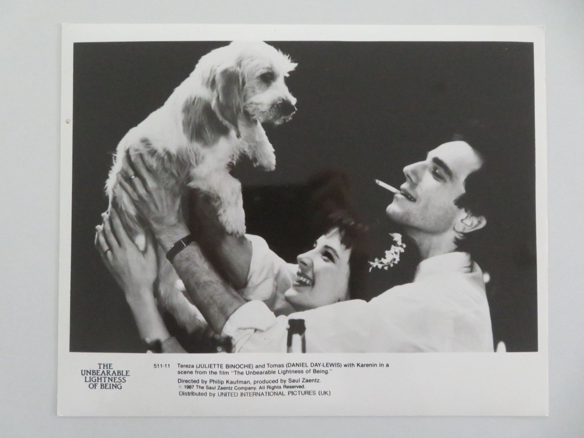 THE UNBEARABLE LIGHTNESS OF BEING MOVIE STILL PHOTO LOT OF 9 D. DAY - LEWIS 1987 Movie posters