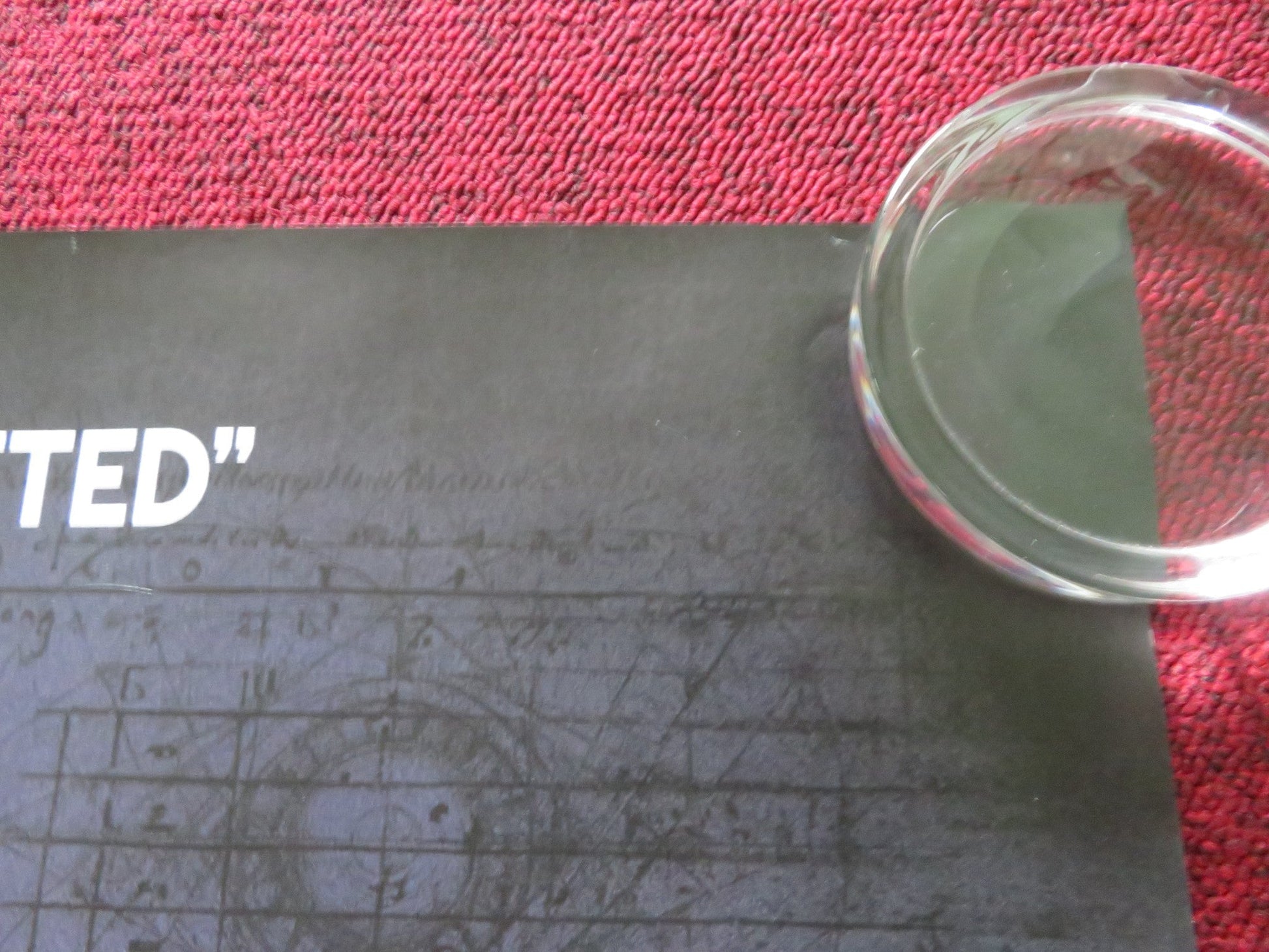 THE UNIVERSAL THEORY UK QUAD ROLLED POSTER JAN BULOW OLIVIA ROSS 2023 Rendezvous Cinema Movie posters