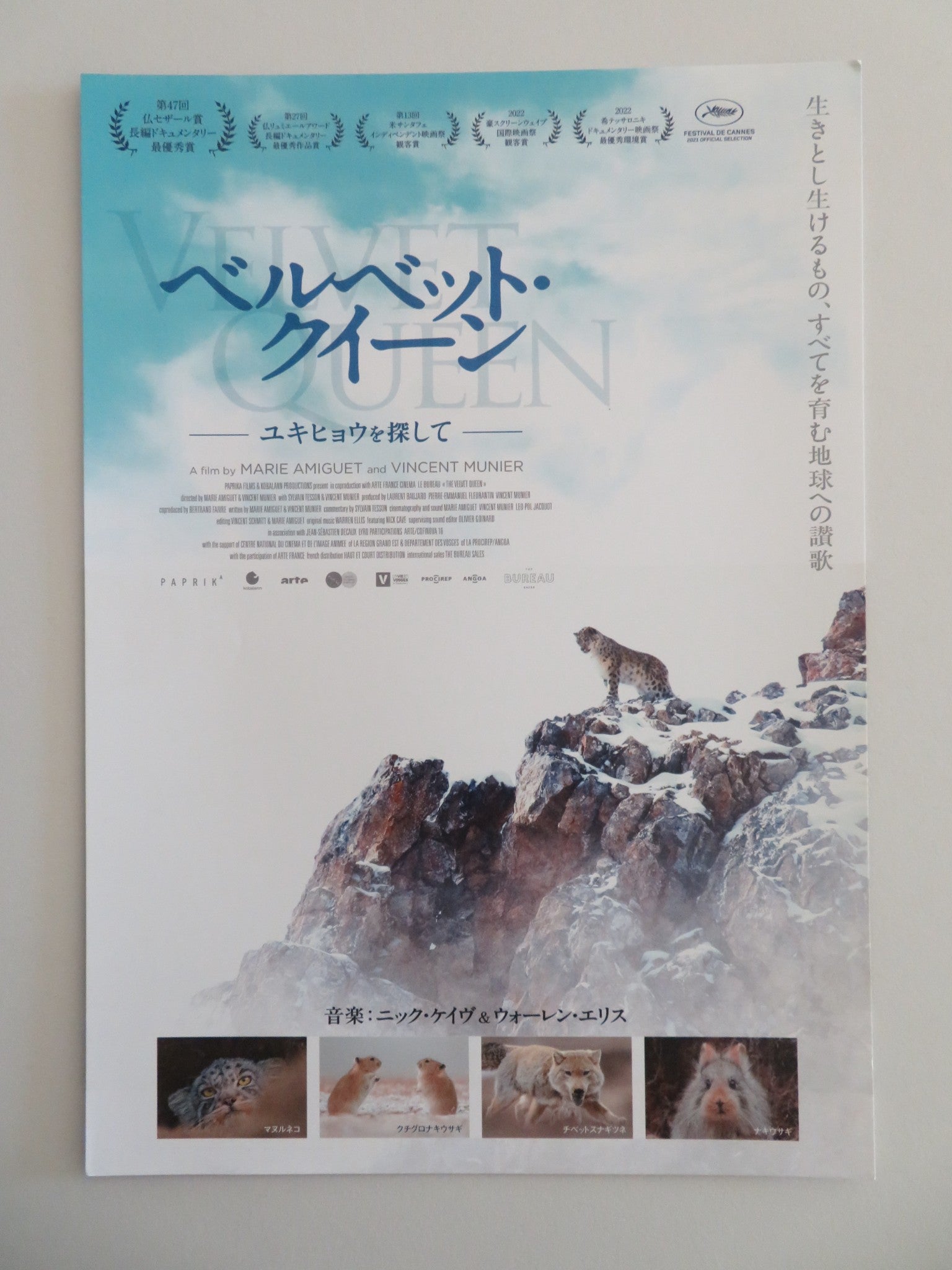 THE VELVET QUEEN JAPANESE CHIRASHI (B5) POSTER MUNIER SYLVAIN TESSON 2021 - Rendezvous Cinema