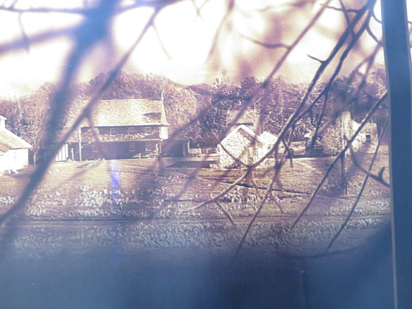 THE VILLAGE UK QUAD ROLLED POSTER JOAQUIN PHOENIX BRYCE DALLAS HOWARD 2004 Rendezvous Cinema Movie posters