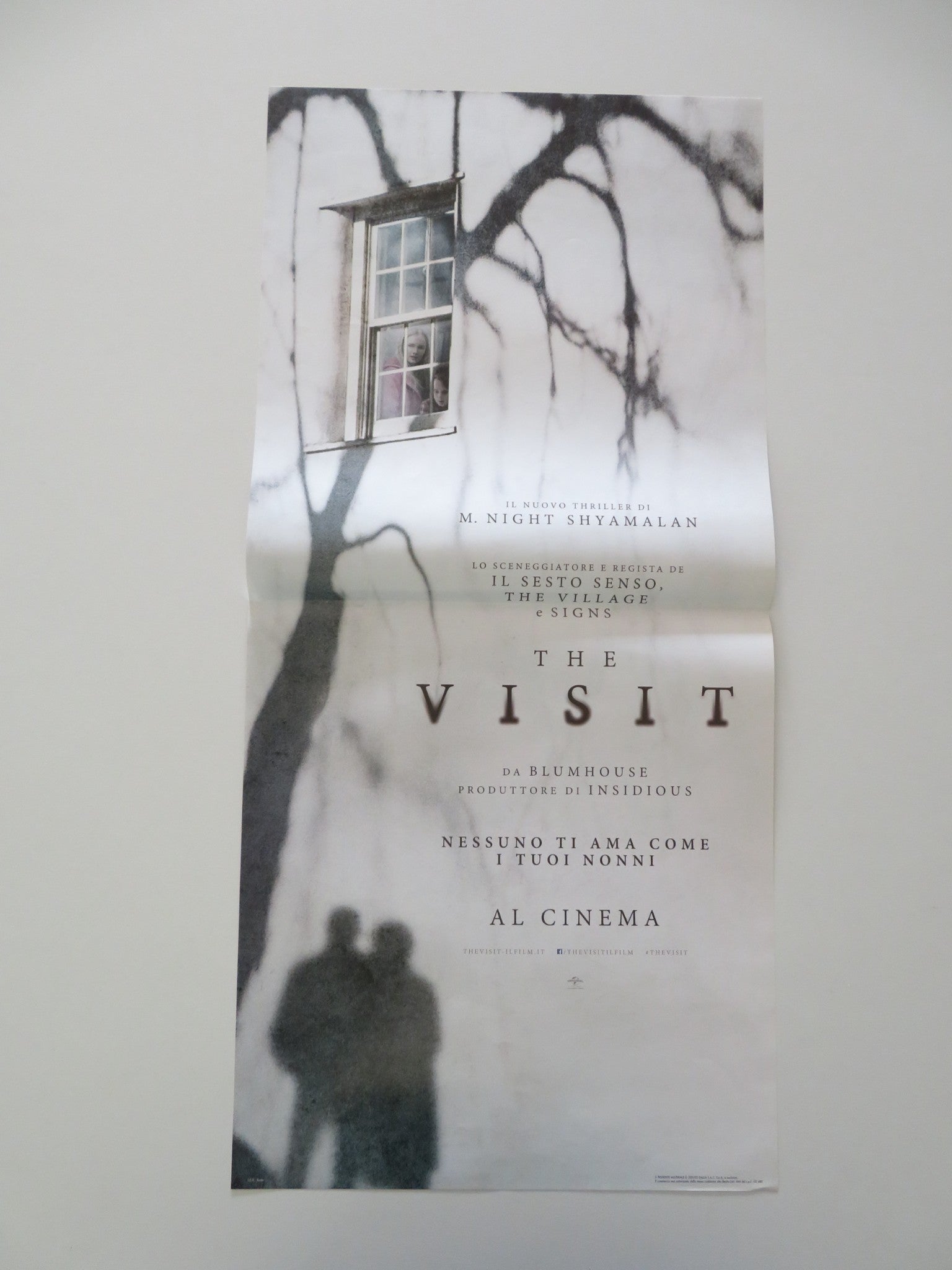 The Visit ITALIAN LOCANDINA POSTER OLIVIA DEJONGE ED OXENBOULD 2015 Movie posters