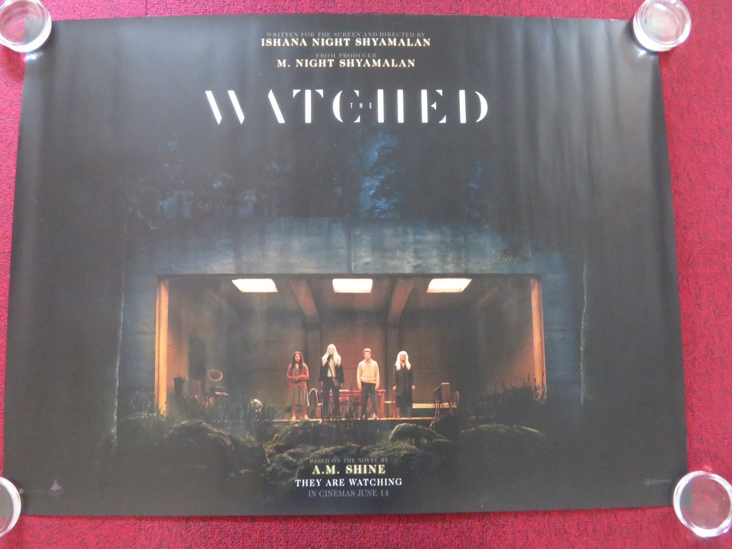 THE WATCHED - A UK QUAD ROLLED POSTER DAKOTA FANNING GEORGINA CAMPBELL 2024 Rendezvous Cinema Movie posters
