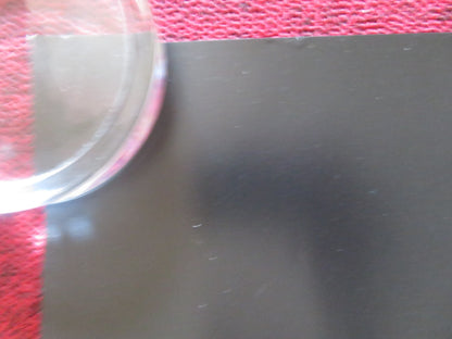 THE WATCHED - A UK QUAD ROLLED POSTER DAKOTA FANNING GEORGINA CAMPBELL 2024 Rendezvous Cinema Movie posters