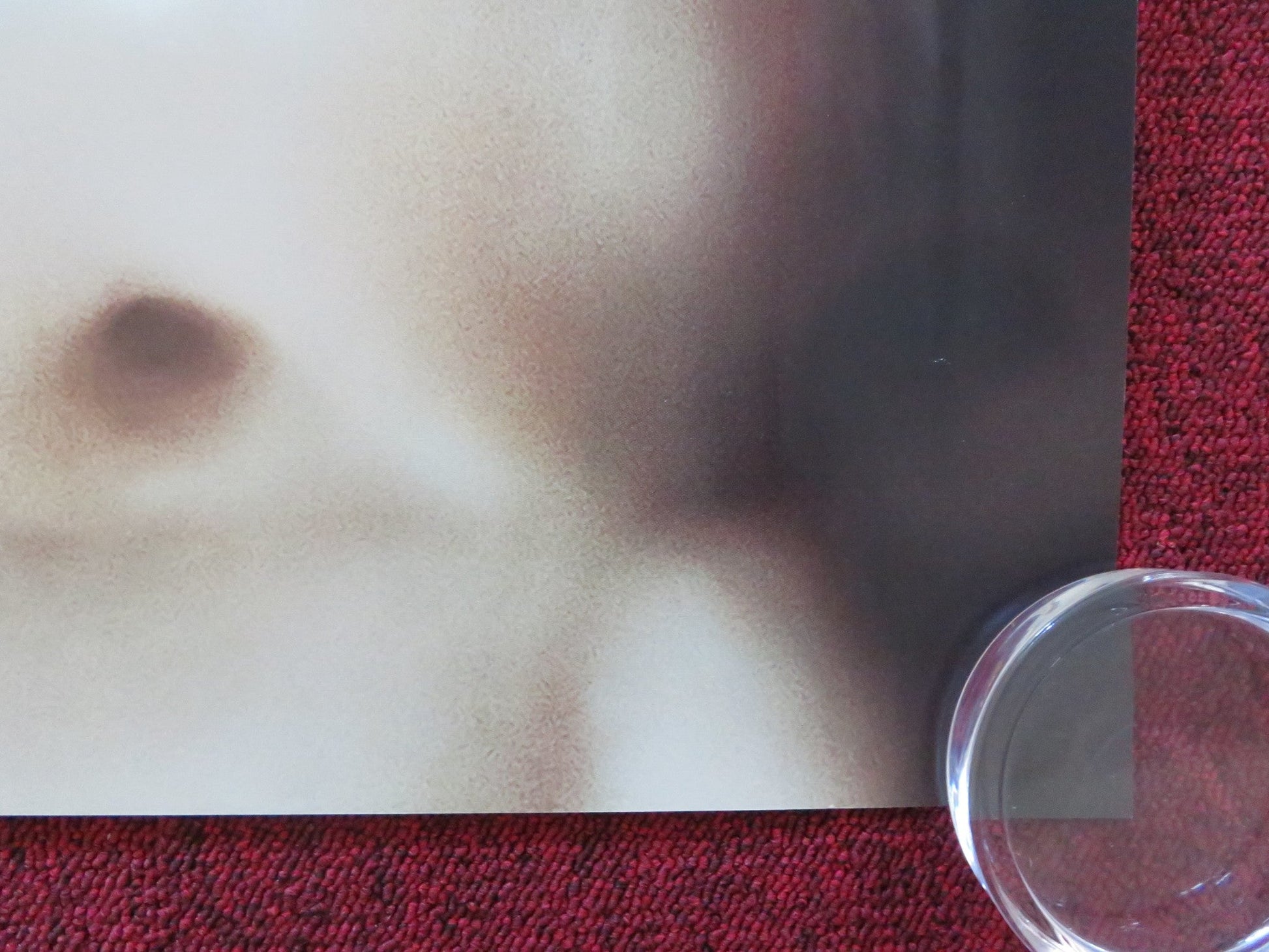 THE WATCHED - B UK QUAD ROLLED POSTER DAKOTA FANNING GEORGINA CAMPBELL 2024 Rendezvous Cinema Movie posters