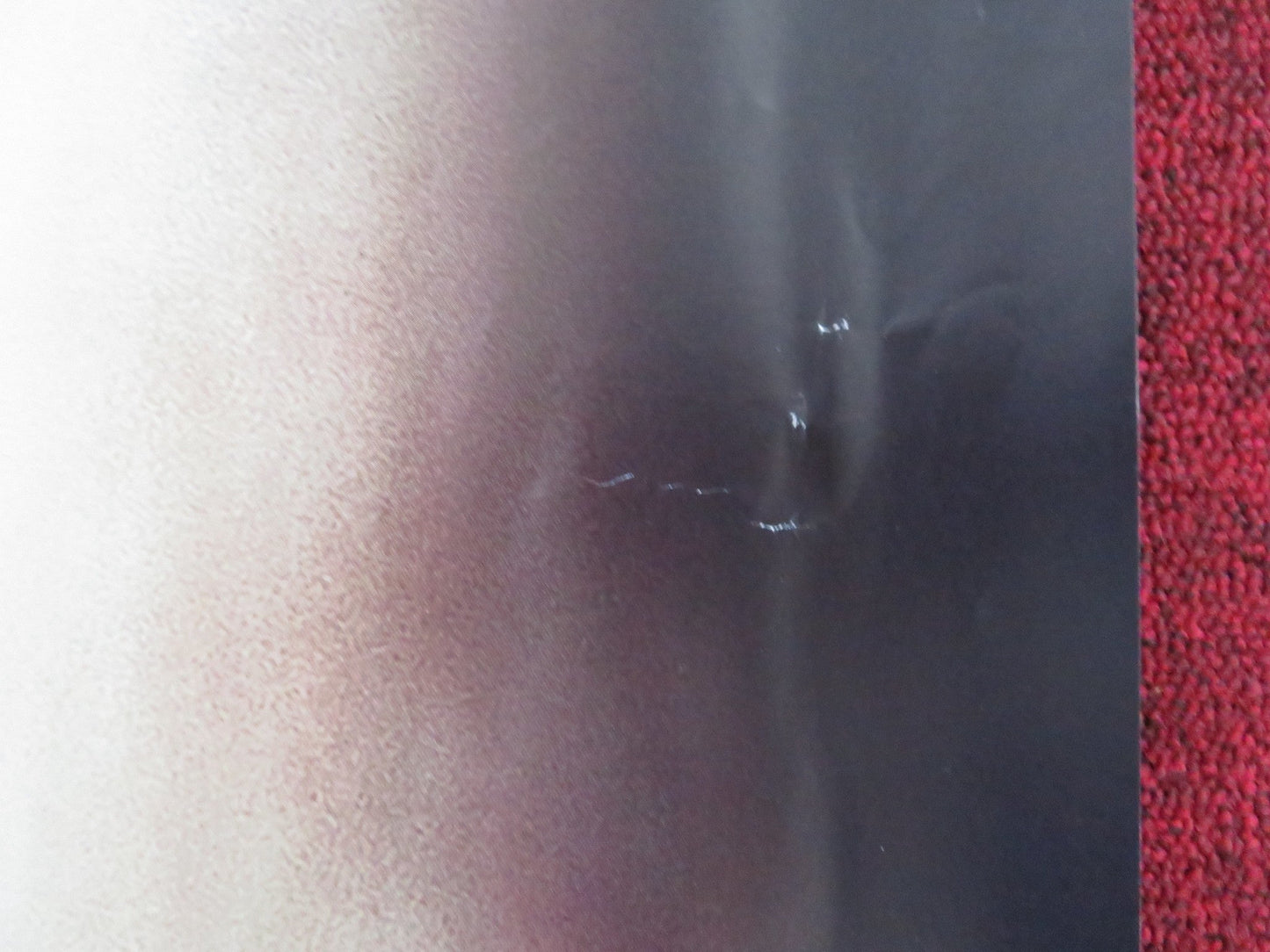 THE WATCHED - B UK QUAD ROLLED POSTER DAKOTA FANNING GEORGINA CAMPBELL 2024 Rendezvous Cinema Movie posters