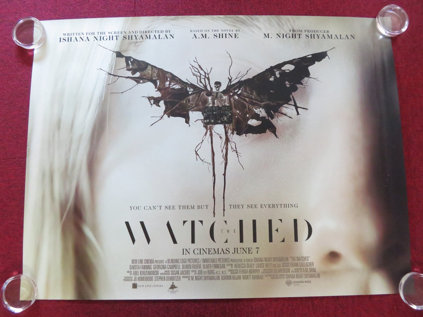 THE WATCHED - B UK QUAD ROLLED POSTER DAKOTA FANNING GEORGINA CAMPBELL 2024 Rendezvous Cinema Movie posters