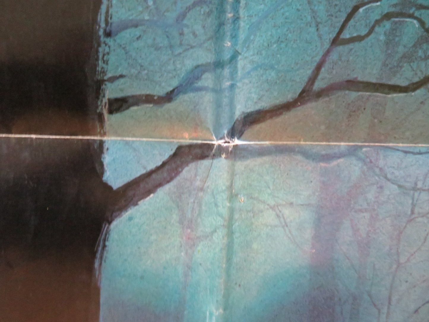 THE WATCHER IN THE WOODS FOLDED US ONE SHEET POSTER DISNEY BETTE DAVIS 1981 Movie posters