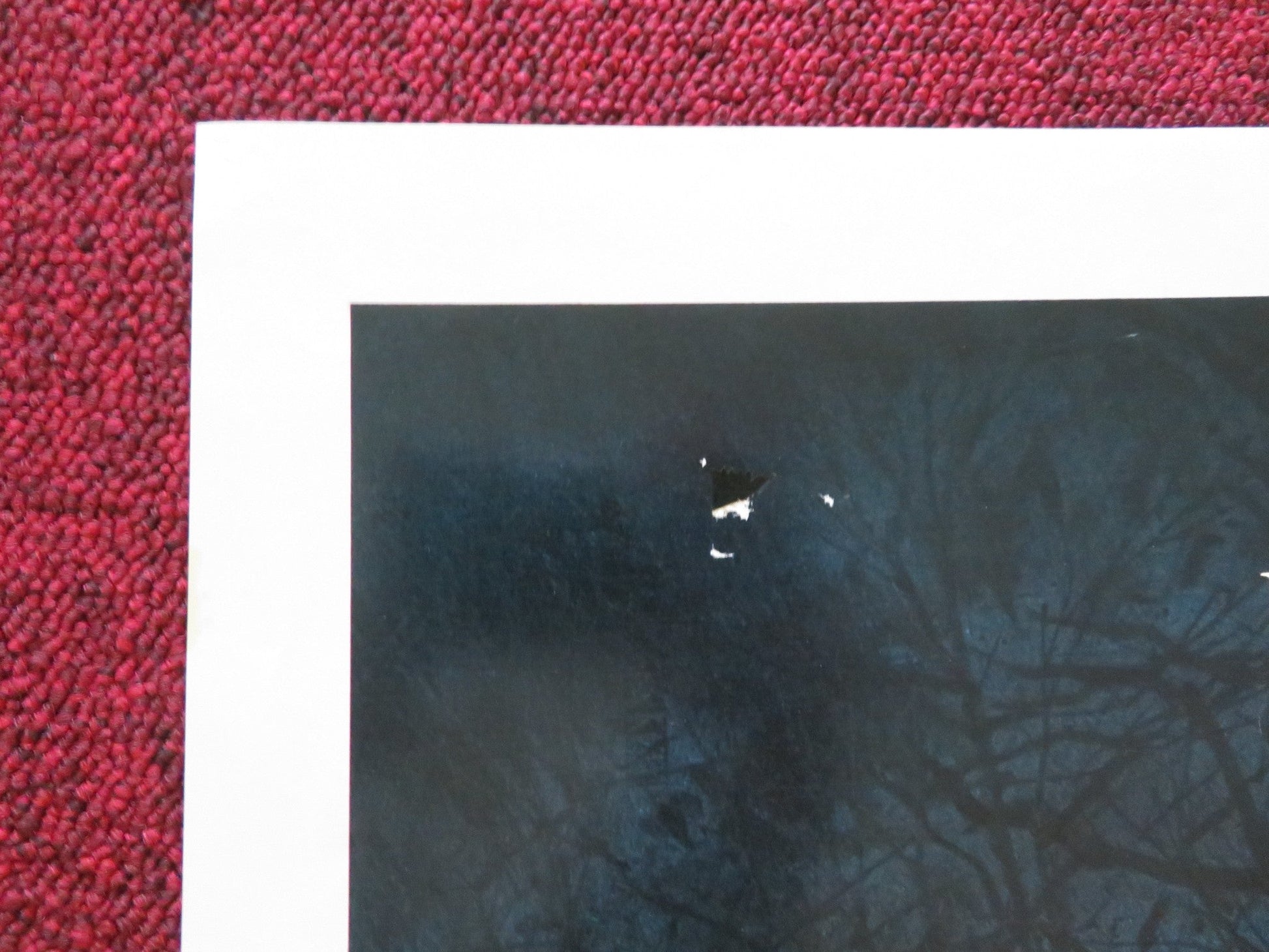 THE WATCHER IN THE WOODS FOLDED US ONE SHEET POSTER DISNEY BETTE DAVIS 1981 Movie posters