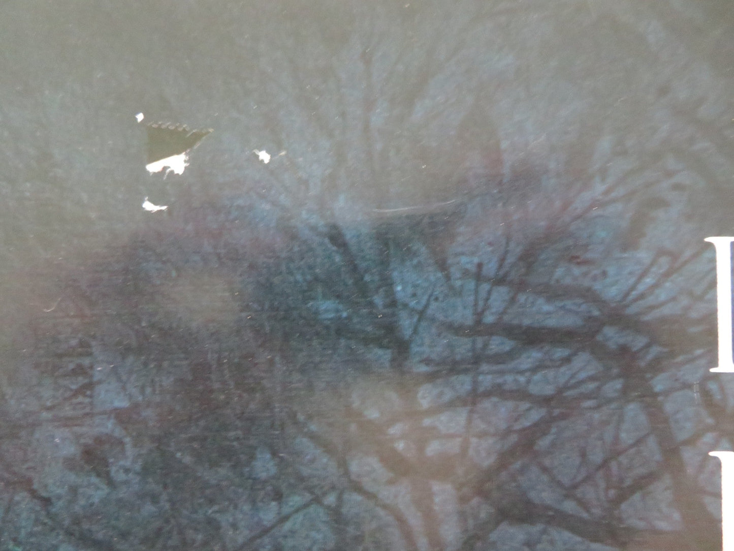 THE WATCHER IN THE WOODS FOLDED US ONE SHEET POSTER DISNEY BETTE DAVIS 1981 Movie posters