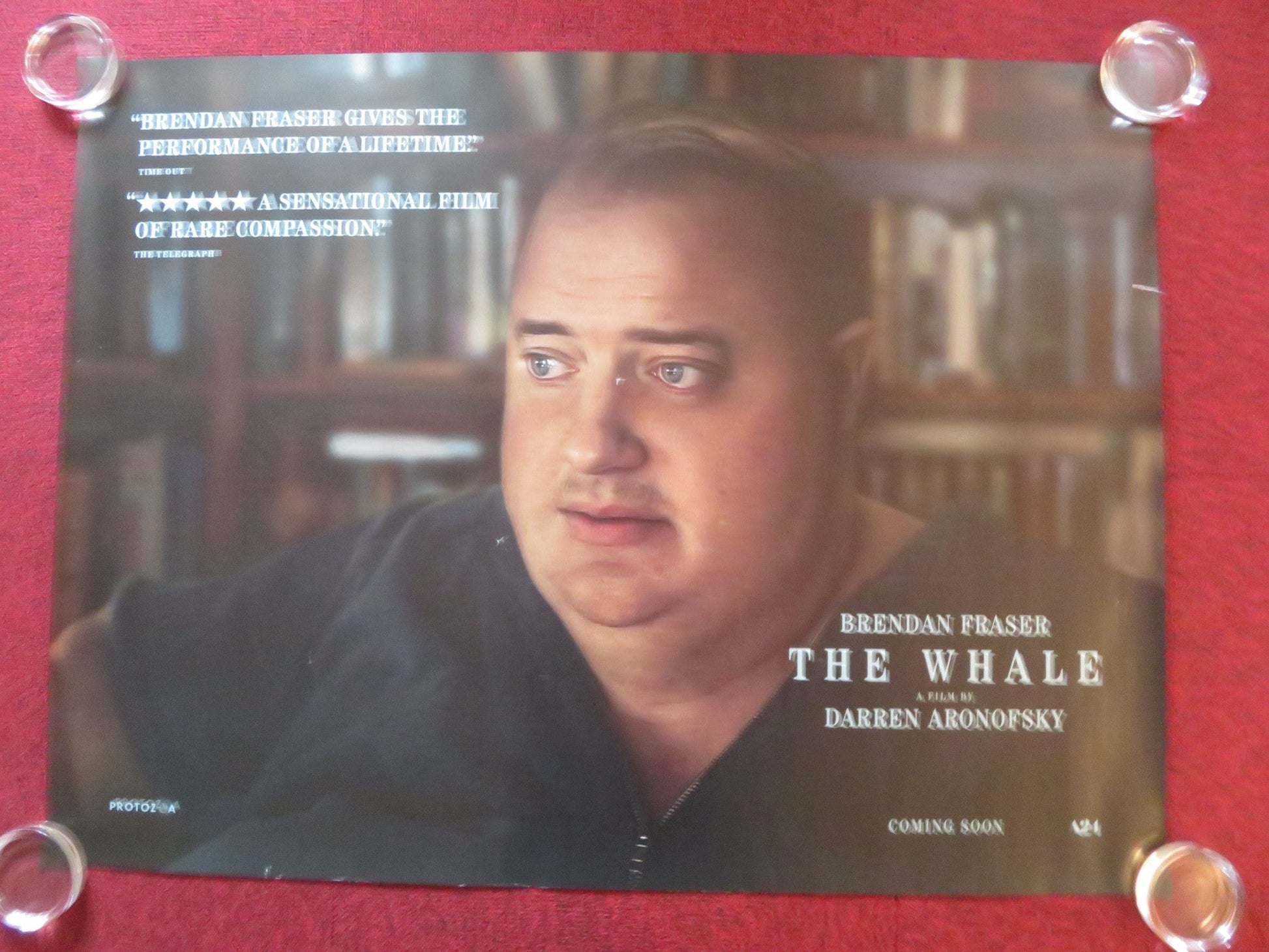 THE WHALE UK QUAD ROLLED POSTER BRENDAN FRASER SADIE SINK 2022 Rendezvous Cinema Movie posters