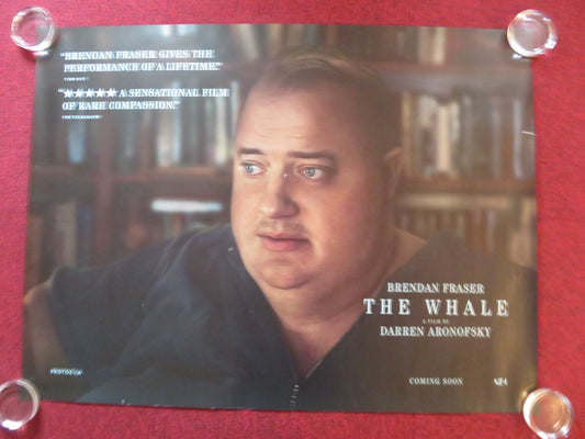 THE WHALE UK QUAD ROLLED POSTER BRENDAN FRASER SADIE SINK 2022 Rendezvous Cinema Movie posters