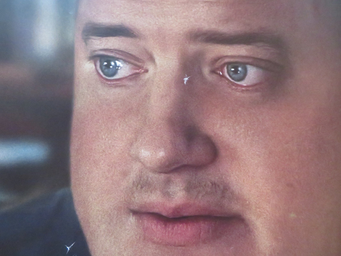 THE WHALE UK QUAD ROLLED POSTER BRENDAN FRASER SADIE SINK 2022 Rendezvous Cinema Movie posters