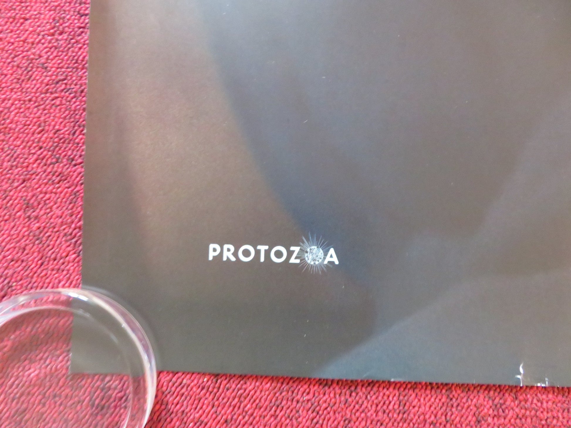 THE WHALE UK QUAD ROLLED POSTER BRENDAN FRASER SADIE SINK 2022 Rendezvous Cinema Movie posters