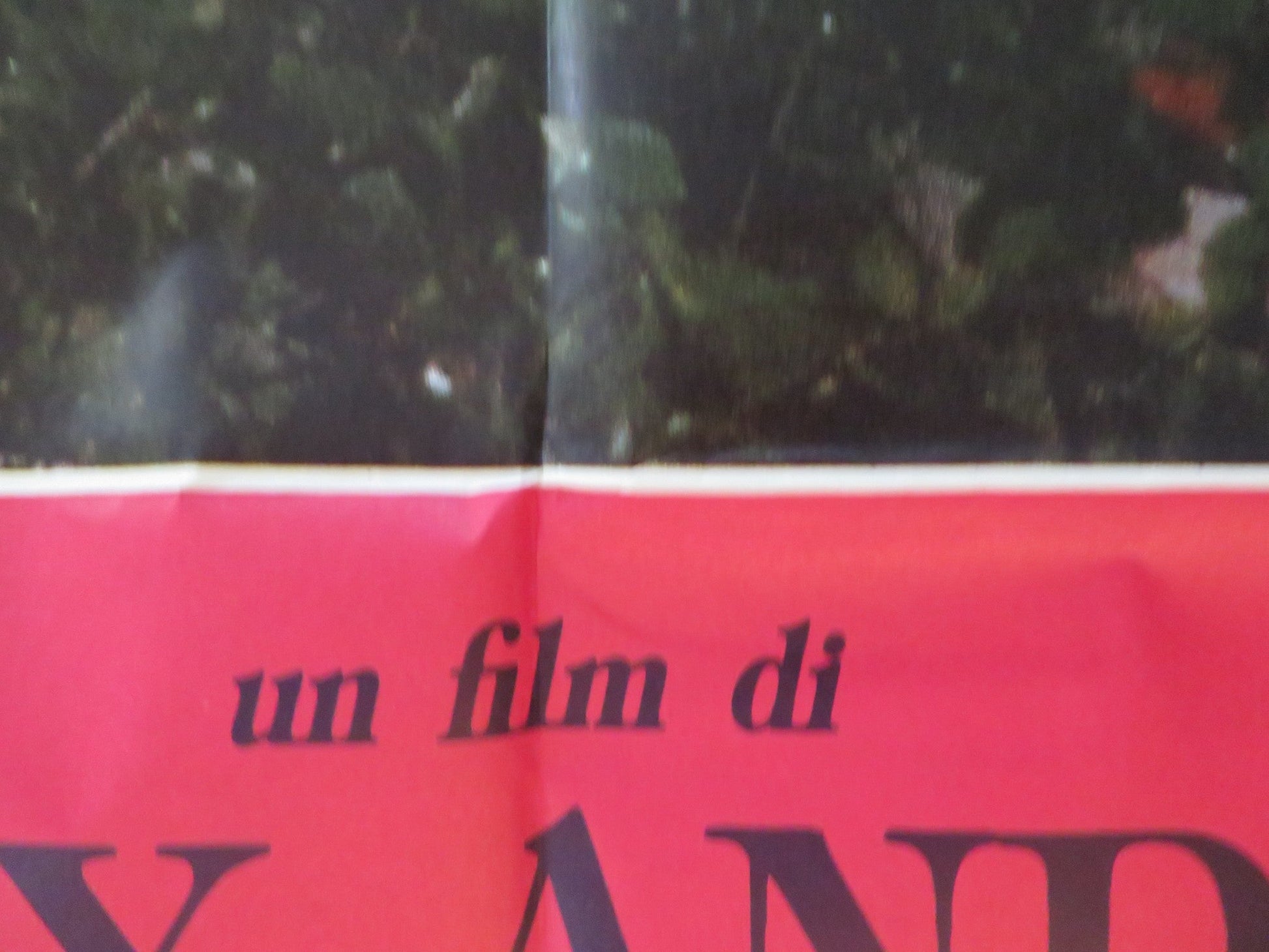 THE WHALES OF AUGUST ITALIAN 2 FOGLIO POSTER BETTE DAVID LILLIAN GISH 1987 Rendezvous Cinema Movie posters
